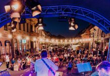 Brežice: Mestna promenada, ustvarjalnice in koncert