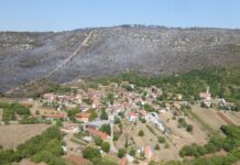 Kras: Zgorelo 3500 hektarjev površine