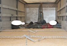 Prijeli 84 migrantov, od tega 63 v Posavju