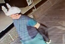 Policija objavila sliko napadalca na poslanca Grimsa