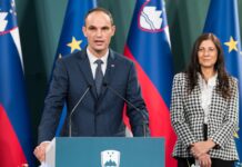 NSi v drugem krogu predsedniških volitev sklenila podpreti Anžeta Logarja
