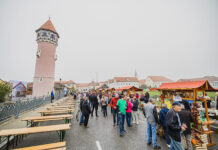 Brežice s prirastom prebivalstva, nadpovprečnim številom stanovanj in avtomobilov