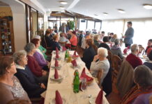 Opravili 2200 obiskov in 440 prevozov starostnikov