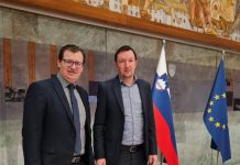 “Primarna naloga državnega sveta je vladajoče prisiliti k boljšemu delu”