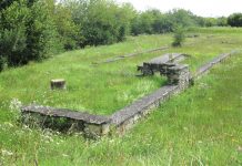 Drnovo: Poznate Neviodunum, arheološko najdišče iz časa Rimljanov?