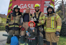 Krški gasilci s 15-metrskega drevesa rešili muca Mikea