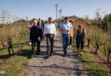 Golob ob ogledu škode v Brežicah obljubil pomoč države