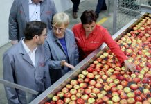 Predsednica Pirc Musarjeva včeraj na obisku v krškem Evrosadu