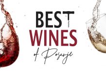 Best wines of Posavje danes v Kleti Krško