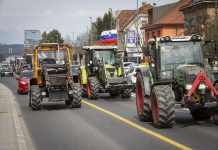 SDS: Vlada naj nemudoma začne pomagati slovenskemu kmetu!