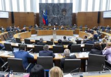 DZ znova potrdil novelo zakona o tujcih; “To je protislovenski zakon,” so se odzvali nekateri