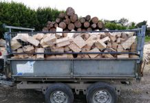 Brežice: Nakradli drva in obtičali v blatu