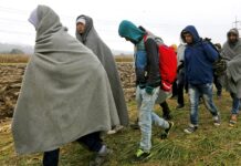 Pirc Musar pomilostila že tretjega tihotapca migrantov; Branko Grims: To, kar se dogaja v Sloveniji, je preko vseh meja