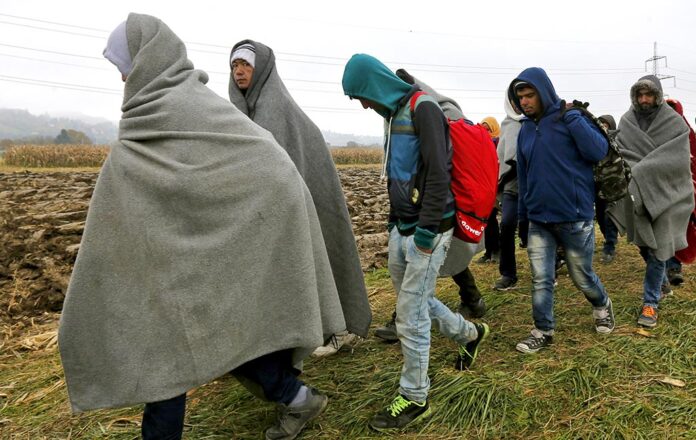 Migrants in Slovenia