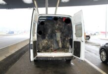V kombiju tihotapil 21 tujcev in ogrožal njihova življenja