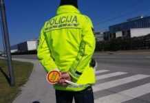 Zasegli vozila v Leskovcu, Kostanjevici, Sevnici