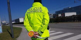 Zasegli vozila v Leskovcu, Kostanjevici, Sevnici