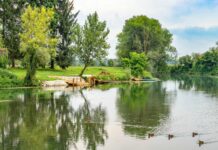 Je Krka primerna za kopanje?