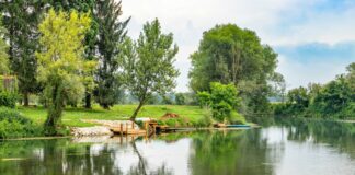 Je Krka primerna za kopanje?