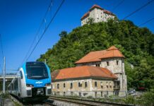 Incident na vlaku iz Brestanice proti Brežicam