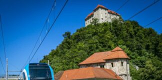 Incident na vlaku iz Brestanice proti Brežicam