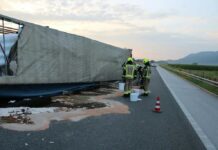 Včeraj ohromljen promet v obe smeri na dolenjski avtocesti pri Skopicah
