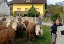 Možganovi terjajo 35.000 evrov odškodnine