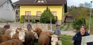 Možganovi terjajo 35.000 evrov odškodnine