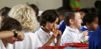 Svinjina v šolah dviga veliko prahu