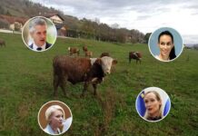 Je šlo pri odvzemu krav družini Možgan iz Krškega za dogovorjeno akcijo s politiko?