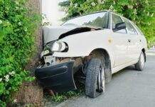 Sevnica: Končal v drevesu, nato še žalil policiste
