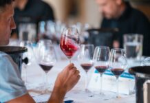 15. Festival modre frankinje tik pred vrati