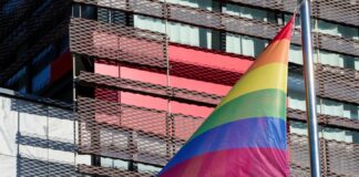 V SDM proti LGBT ideologiji v šolah