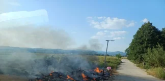 V bližini Kerinovega Grma zagoreli kosovni odpadki