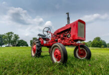 Ukradel televizor in traktor