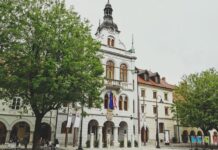 Umrl pretepeni v Novem mestu, pripravlja se protestni shod. Kdo nosi odgovornost?
