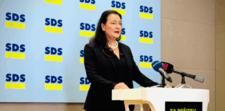 V SDS opozarjajo na vse bolj zaostrene razmere zaradi nereševanja romske problematike