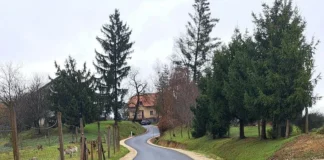 V občini Brežice nadaljujejo z modernizacijo cestnih odsekov