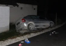 Z neregistriranim avtom v drevo