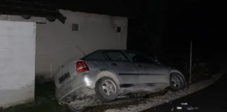 Z neregistriranim avtom v drevo