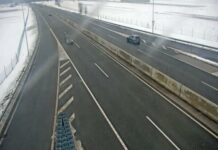 Drnovo: Stekel na avtocesto in umrl
