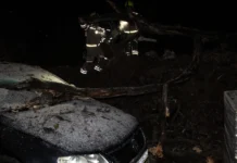 V Venišah drevo padlo na vozilo