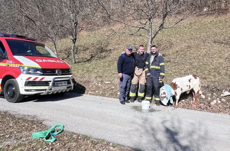 Nenavadna akcija gasilcev, iskali so telička