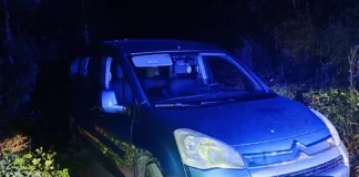 Vozniku na Trški Gori roko ukleščilo med vozilo in drevo