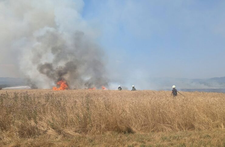 Požar pri Kerinovem Grmu zajel približno tri hektarje kmetijskih površin