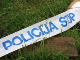 Brežice: Policisti pri mladoletniku zasegli 199 kosov streliva