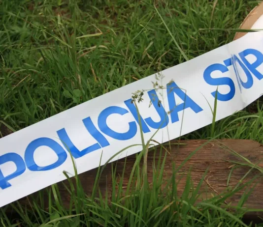 Brežice: Policisti pri mladoletniku zasegli 199 kosov streliva