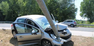 Na krški obvoznici pri Krki z avtom v javno razsvetljavo