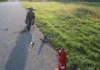V prometni nesreči v Hrastju pri Cerkljah poškodovana pešec in voznik mopeda