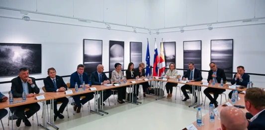 Župani in ministri o sistemskih rešitvah na področju romske problematike